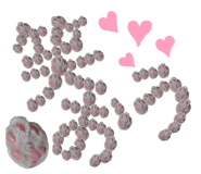 260950989