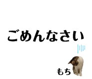 260950991
