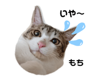 260950992