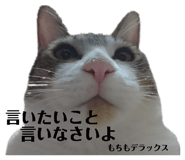 260951000