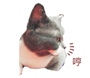 260988898