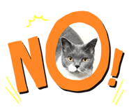 260988901