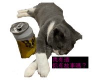 260988903
