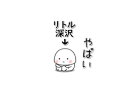 261026198