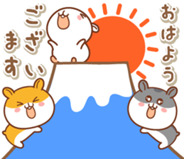 261030006