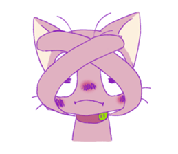 261081593