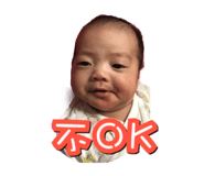 261141355