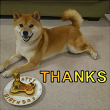 26116569