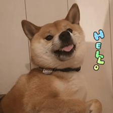 26116572