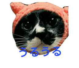 26125630