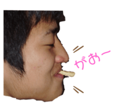 261333920