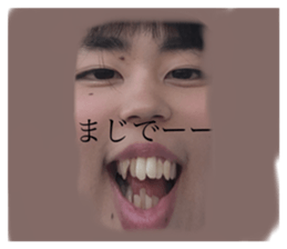 261337616