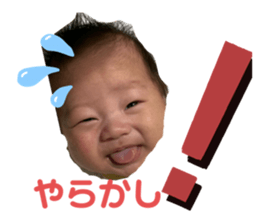 261337883