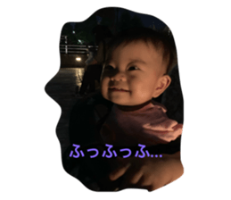 261340281