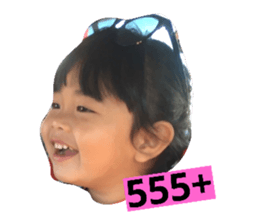26134900