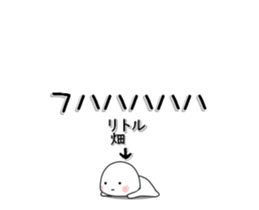 261359648