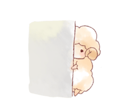 261516