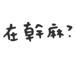 26163535
