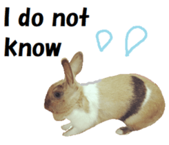 26166795
