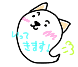 2617853