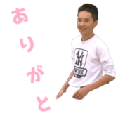 261790831