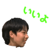 261790841