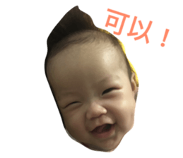 26180820