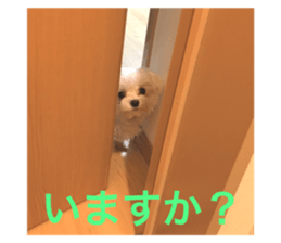 26183078