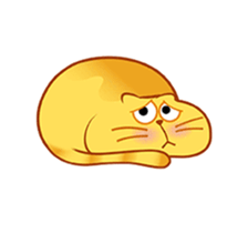 262000096