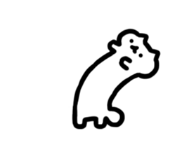 262006402