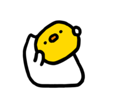 262006409