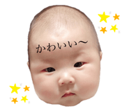 262018087
