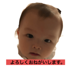 262019567