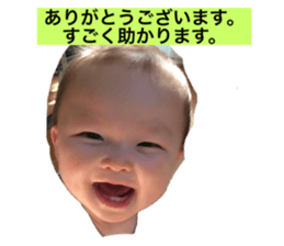 262019568