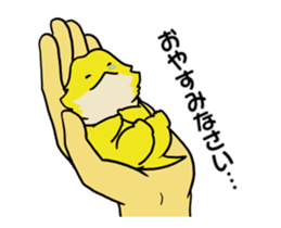 262051830