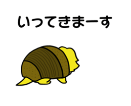 262051832