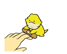 262051837