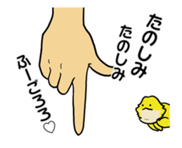 262051839