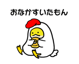 262051841
