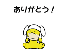 262051843