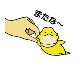 262051845