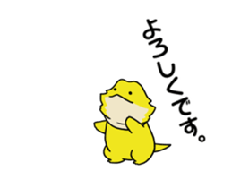 262051846