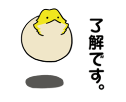 262051849