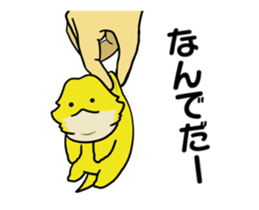 262051853