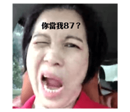 262089723