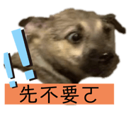 262092389