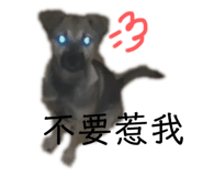 262092390