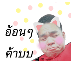 262153341