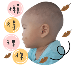 26216838