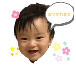 262172243